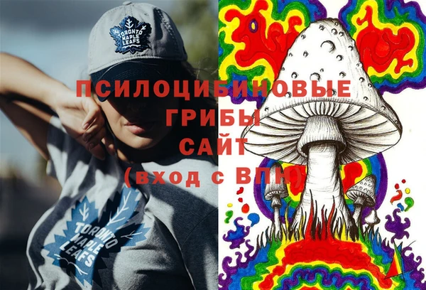 ГАЛЛЮЦИНОГЕННЫЕ ГРИБЫ Михайловка