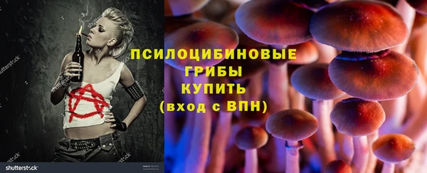 ГАЛЛЮЦИНОГЕННЫЕ ГРИБЫ Михайловка