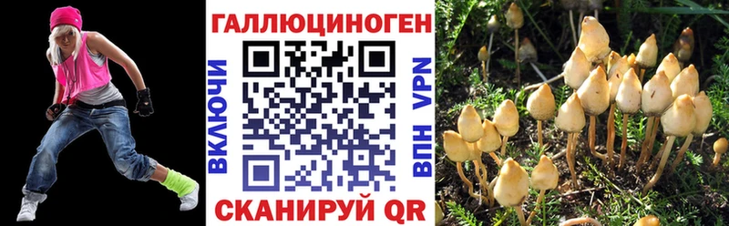 Купить закладки  Медынь  Галлюциногенные грибы Cubensis 
